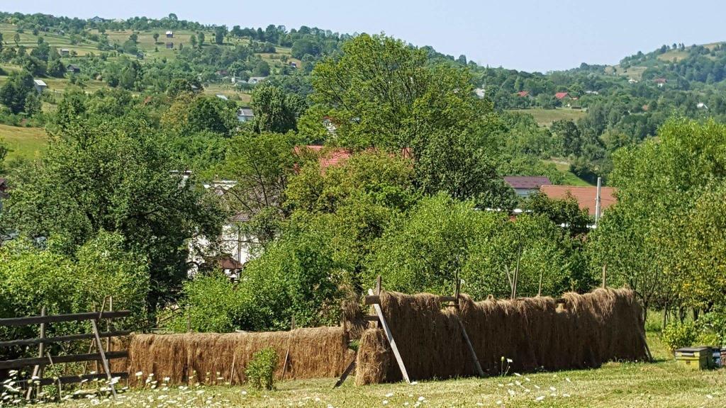 Pensiunea Simi Moisei Luaran gambar